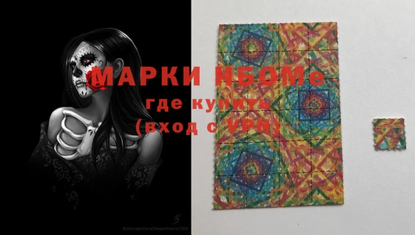 прущие грибы Армянск