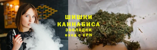 прущие грибы Армянск