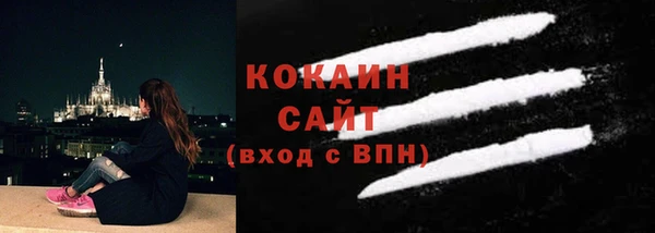 прущие грибы Армянск