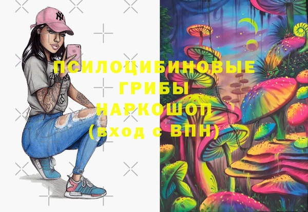 прущие грибы Армянск